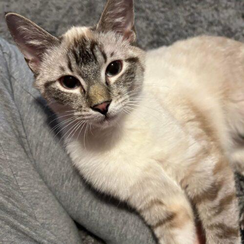 338512185_743533077146842_7047054338220643616_n