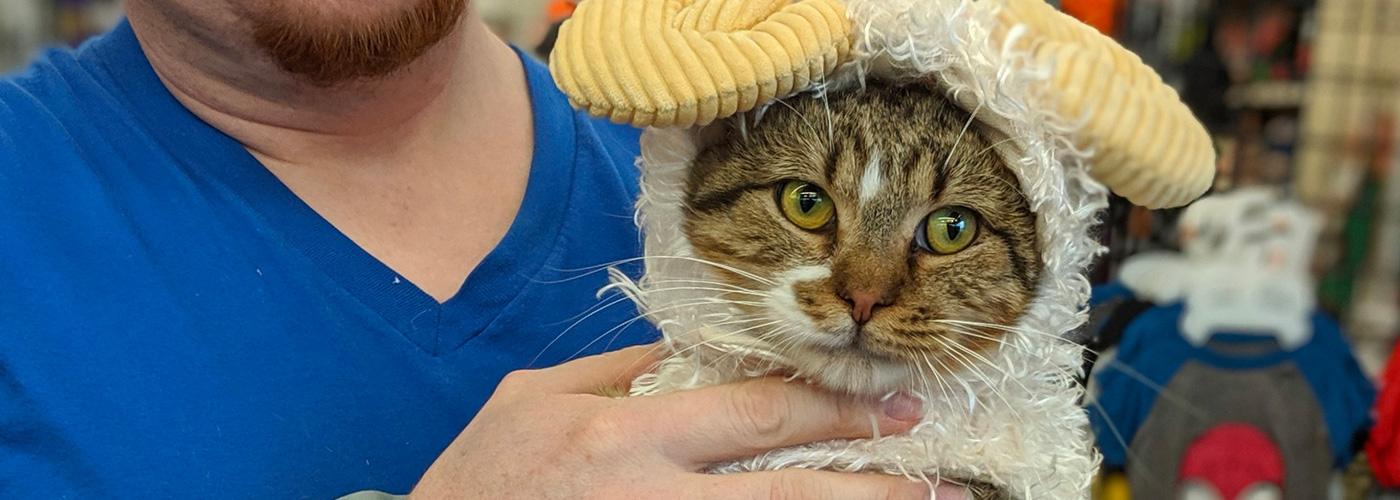 cat_event