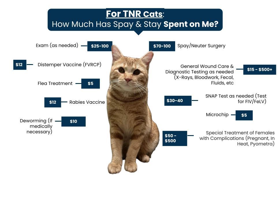 Spay & Stay TNR Fee Graphic