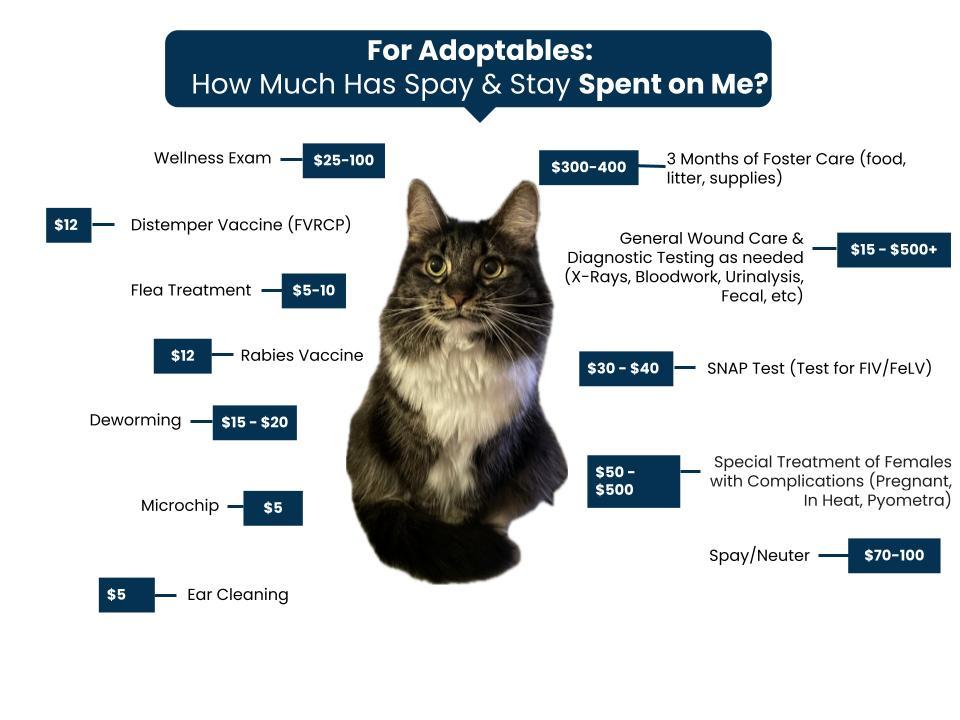 Spay & Stay adoption Fee Graphic