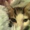 Baby Buddy 29458