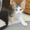 Baby Buddy 29458
